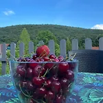 Neve Nincs Nyaralo - Oenallo Haziko- Privat Szfera 公寓