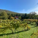 公寓 Neve Nincs Nyaralo - Oenallo Haziko- Privat Szfera *
