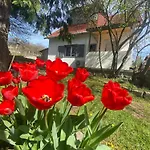 Apartament Neve Nincs Nyaralo - Oenallo Haziko- Privat Szfera Balatonfüred