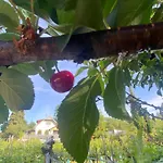 Neve Nincs Nyaralo - Oenallo Haziko- Privat Szfera Апартаменты *