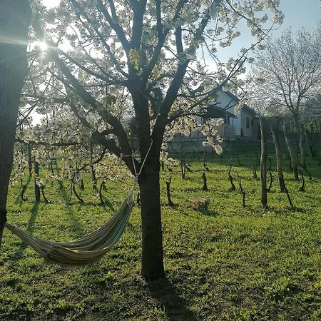 Lejlighed Neve Nincs Nyaralo - Oenallo Haziko- Privat Szfera *