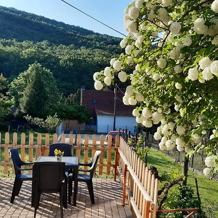 Apartment Neve Nincs Nyaralo - Oenallo Haziko- Privat Szfera Balatonfüred