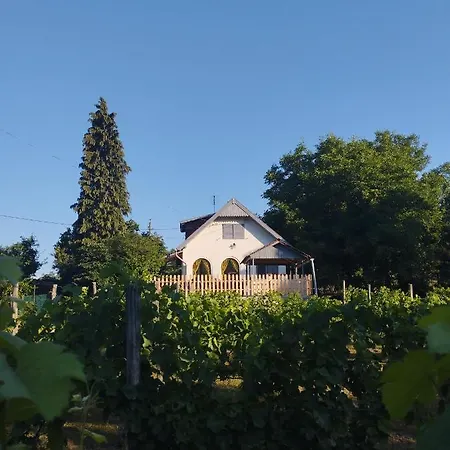 Neve Nincs Apartman Balatonfüred