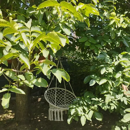 Apartament Neve Nincs Nyaralo - Oenallo Haziko- Privat Szfera Balatonfüred