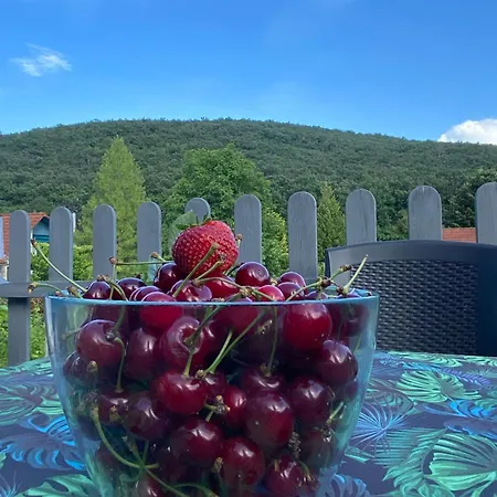 Neve Nincs Nyaralo - Oenallo Haziko- Privat Szfera Apartmán