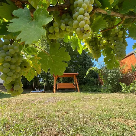 Neve Nincs - önálló Házikó- Privát Szféra Apartamento Balatonfüred