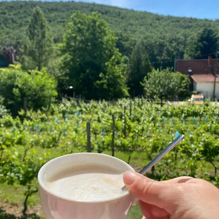 Neve Nincs Nyaralo - Oenallo Haziko- Privat Szfera Balatonfüred